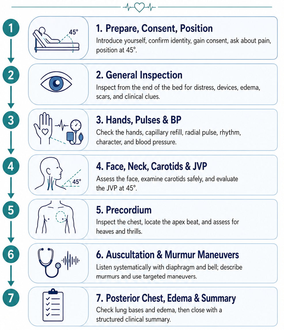 cardiovascular examination OSCE AI cardiovascular examination